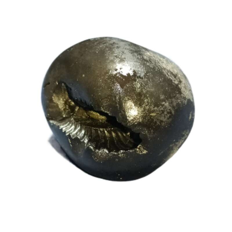 Laxmi Narayan Shaligram 100% Genuine & Rare- 137 Gram