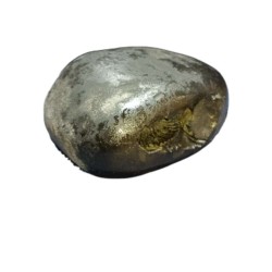 Laxmi Narayan Shaligram 100% Genuine & Rare 532 Gram (Lakshmi narayan)