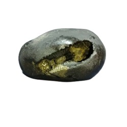 Laxmi Narayan Shaligram...