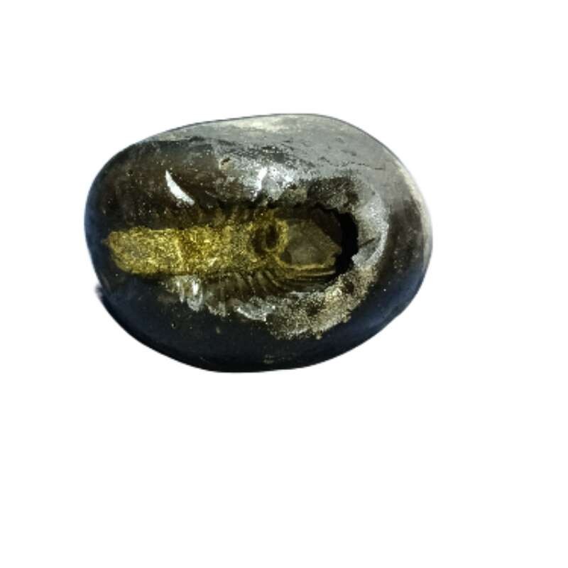 Laxmi Narayan Shaligram 100% Genuine & Rare 502 Gram (Lakshmi narayan)