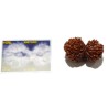 14 Mukhi Gauri Shankar Rudraksha 36 Gram With X-ray & Lab- Certified