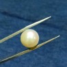 Natural  Pearl (Moti) Stone & Lab Certified - 12.25 Carat