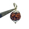 Lab- Certified 5 Mukhi Rudraksha Beads in Silver locket