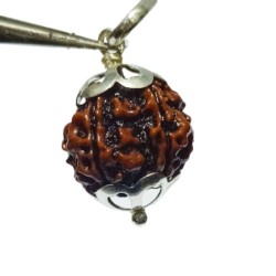 Lab- Certified 5 Mukhi Rudraksha Beads in Silver locket