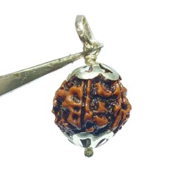 Lab- Certified 5 Mukhi Rudraksha Beads in Silver locket