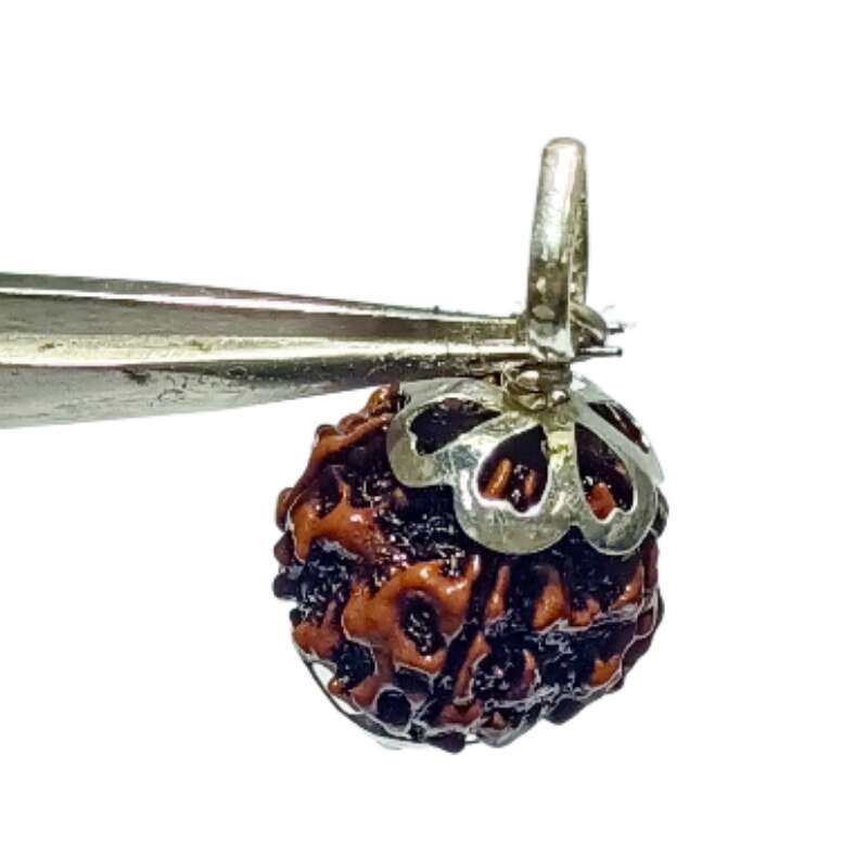 Lab- Certified 5 Mukhi Rudraksha Beads in Silver locket