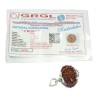 Natural 8 Mukhi Rudraksha (Nepali) Bead In Silver Locket