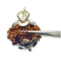 Natural 8 Mukhi Rudraksha (Nepali) Bead In Silver Locket