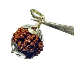 Natural 8 Mukhi Rudraksha (Nepali) Bead In Silver Locket