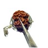 Natural 8 Mukhi Rudraksha (Nepali) Bead In Silver Locket