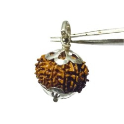 Natural 11 Mukhi Nepali Rudraksha Bead In Silver Locket, Affordable & Certified