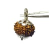 Natural 11 Mukhi Nepali Rudraksha Bead In Silver Locket, Affordable & Certified