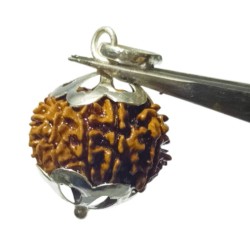 Natural 11 Mukhi Nepali Rudraksha Bead In Silver Locket, Affordable & Certified