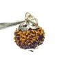 Natural 11 Mukhi Nepali Rudraksha Bead In Silver Locket, Affordable & Certified