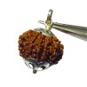 Original 12 Mukhi Rudraksha Bead In Silver Locket Authentic & Certified Nepali Rudraksha