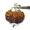 Original 12 Mukhi Rudraksha Bead In Silver Locket Authentic & Certified Nepali Rudraksha