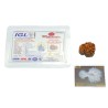 9 Mukhi Garbh Gauri Rudraksha 25.5mm With X-ray Report & Lab Certification