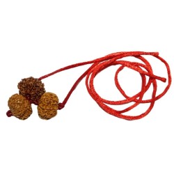 Kaal Sarp Dosh Kavach - Combination Of 8, 9 & 10 Mukhi Rudraksha