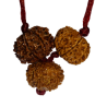 Kaal Sarp Dosh Kavach - Combination Of 8, 9 & 10 Mukhi Rudraksha