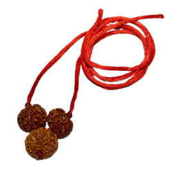 Business Growth Kavach Rudraksha - Combination of 7, 8 & 7 Mukhi Rudraksha