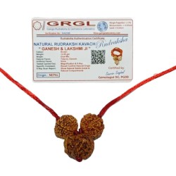 Ganesh Laxmi Kavach Rudraksha - Combination of 7, Ganesh & 7 Mukhi Rudraksha