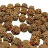 Shani Mala Rudraksha - Nepali 7 Mukhi Rudraksha (54+1) Beads