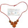 Health Kavach Rudraksha - Combination of 5 mukhi, 5 mukhi,5 mukhi, 3 mukhi & 3 Mukhi Rudraksha