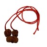 Shiv Parivaar Kavach Rudraksha - Combination of Gaurishankar, Ganesh & 6 Mukhi Rudraksha