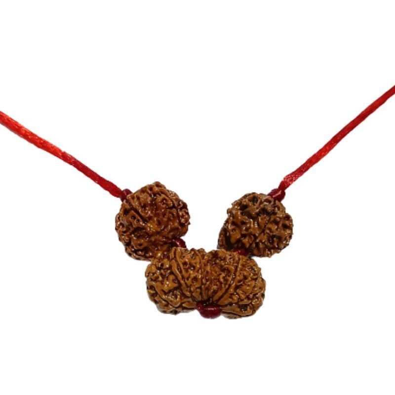 Shiv Parivaar Kavach Rudraksha - Combination of Gaurishankar, Ganesh & 6 Mukhi Rudraksha