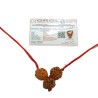 Student Kavach Rudraksha - Combination of 4, Ganesh & 6 Mukhi Rudraksha