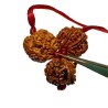 Student Kavach Rudraksha - Combination of 4, Ganesh & 6 Mukhi Rudraksha