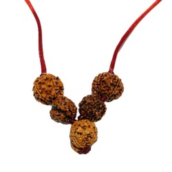 Will Power Kavach Rudraksha...