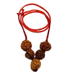 Will Power Kavach Rudraksha - Combination of 4 (2 pieces), Ganesh & 6 (2 pieces ) Mukhi Rudraksha