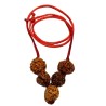 Will Power Kavach Rudraksha - Combination of 4 (2 pieces), Ganesh & 6 (2 pieces ) Mukhi Rudraksha