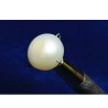 Pearl (Moti) Stone 5.25 Carat & Certified