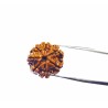 Natural 7 Mukhi Rudraksha Bead, Affordable & Certified