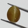 Cat’s Eye Stone (Lehsunia) & Lab- Certified Gemstone – 6.90 Carat