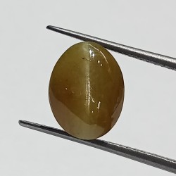 Cat’s Eye Stone (Lehsunia) & Lab- Certified Gemstone – 6.90 Carat