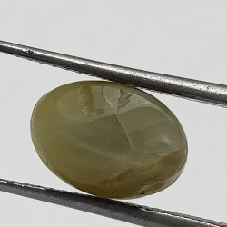 Cat’s Eye Stone (Lehsunia) & Lab- Certified Gemstone – 6.60 Carat