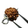 Nepali 1 Mukhi Rudraksha Bead Underdeveloped 21mm+ in silver locket