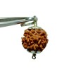 Nepali 1 Mukhi Rudraksha Bead Underdeveloped 21mm+ in silver locket