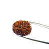 Natural 7 Mukhi Rudraksha Bead, Affordable & Certified