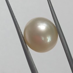 Authentic South Sea Pearl (Moti) Stone 11.12 Carat & Certified