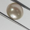 Authentic South Sea Pearl (Moti) Stone 12.73 Carat & Certified