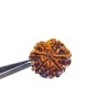 Natural 7 Mukhi Rudraksha Bead, Affordable & Certified