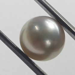 Authentic South Sea Pearl (Moti) Stone 8.48 Carat & Certified