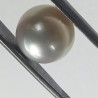 Authentic South Sea Pearl (Moti) Stone 8.48 Carat & Certified