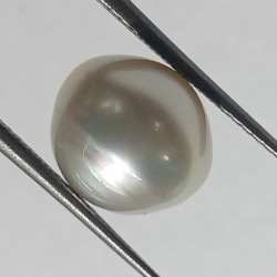 Authentic South Sea Pearl (Moti) Stone 8.07 Carat & Certified