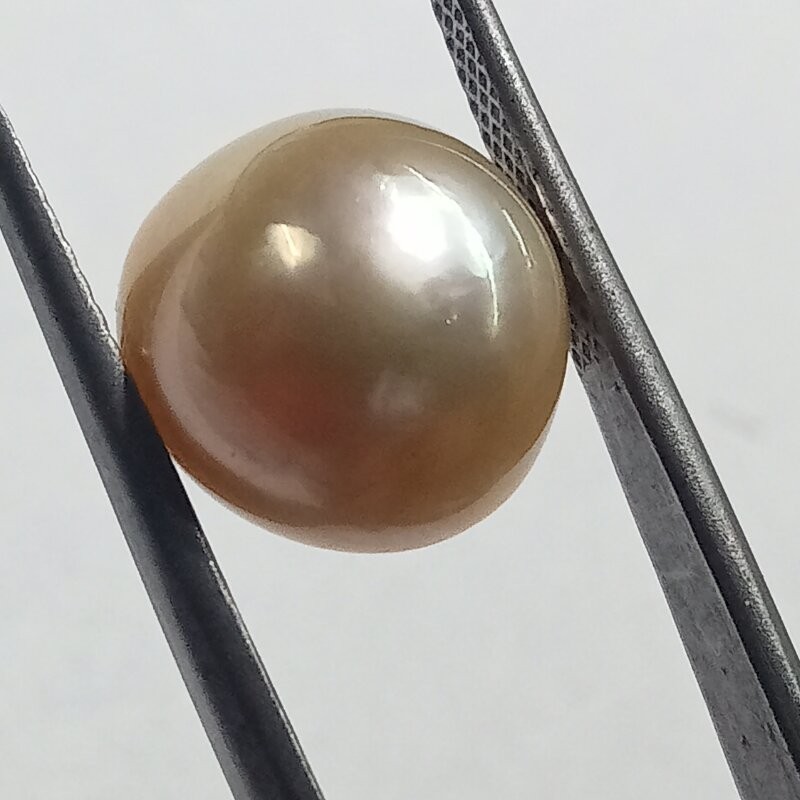 Original Natural Yellow (Golden) Pearl (Moti) Stone - 10.83 Carat