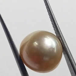 Original Natural Yellow (Golden) Pearl (Moti) Stone - 10.83 Carat